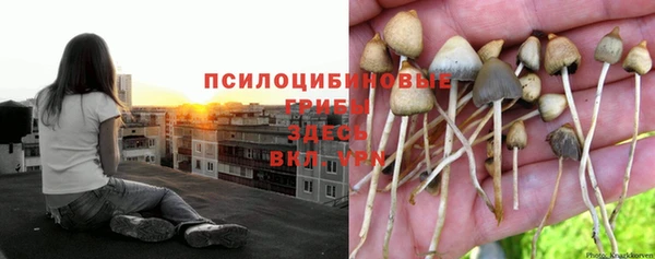 бутират Алексеевка