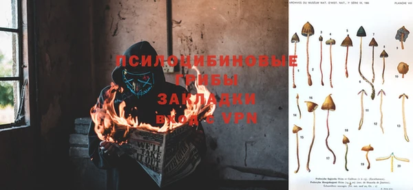 кокаин Алексин