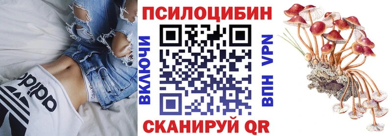 купить   Сочи  Галлюциногенные грибы прущие грибы 