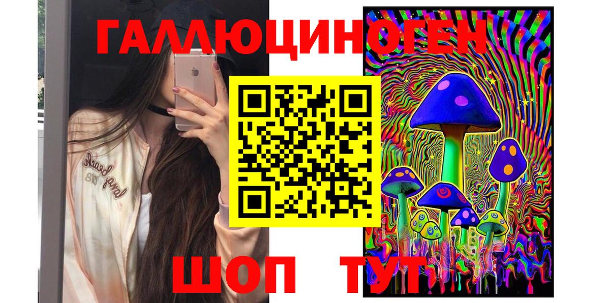 Псилоцибиновые грибы прущие грибы Сочи