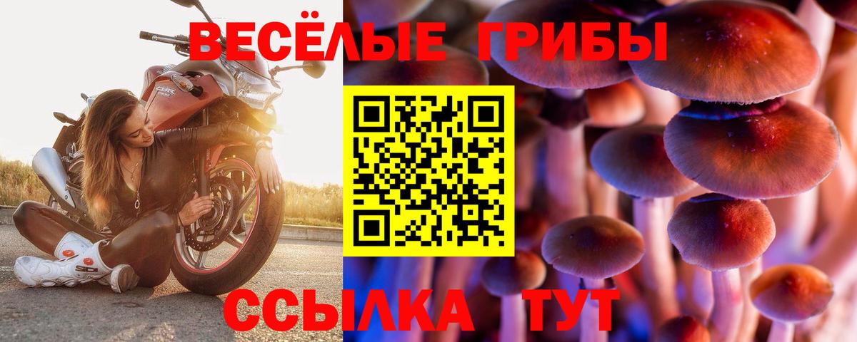 Галлюциногенные грибы Magic Shrooms  Псилоцибиновые грибы GOLDEN TEACHER  Вход с VPN  Сочи 